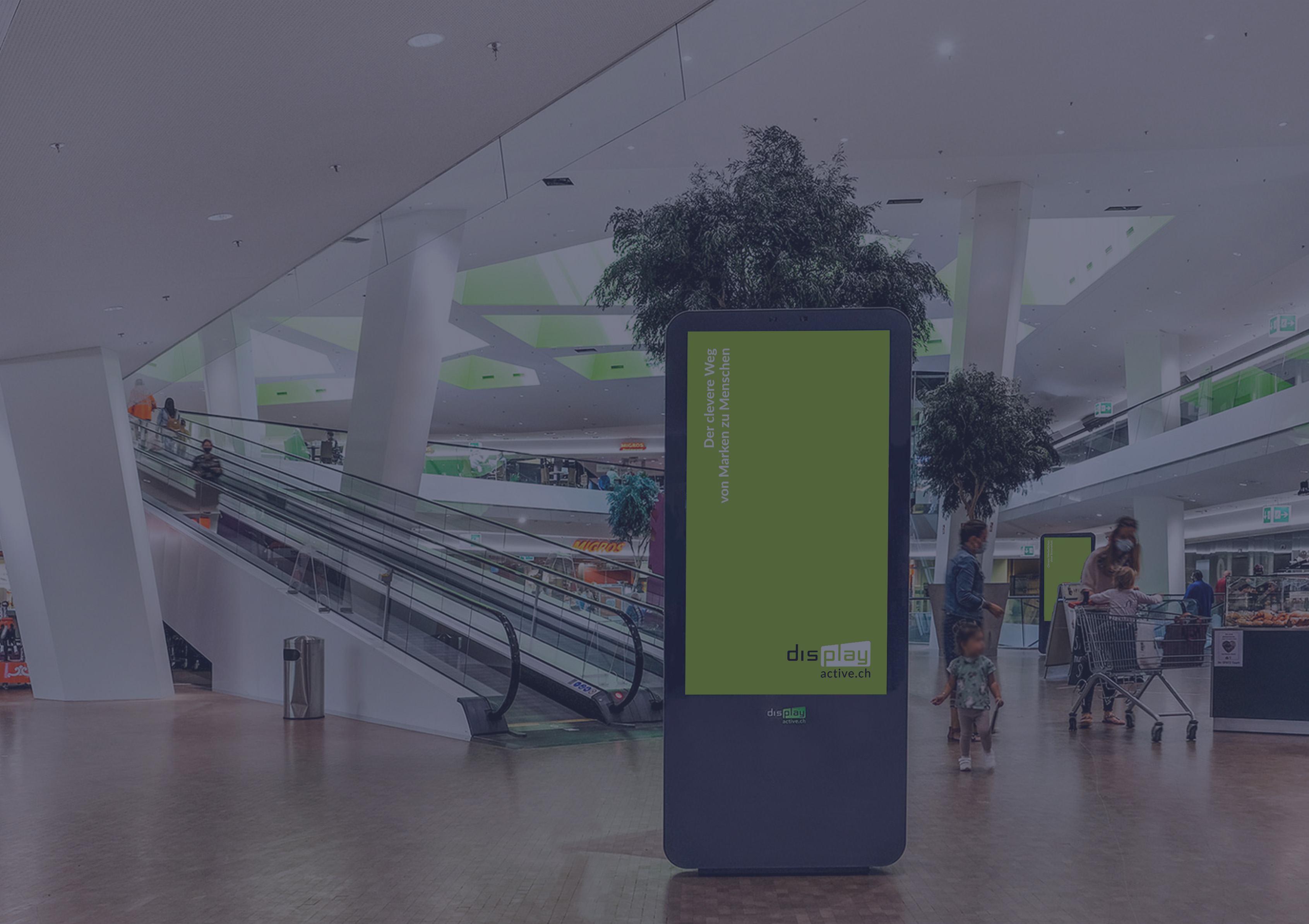 VISION Kacheln Website Mallvision Hover